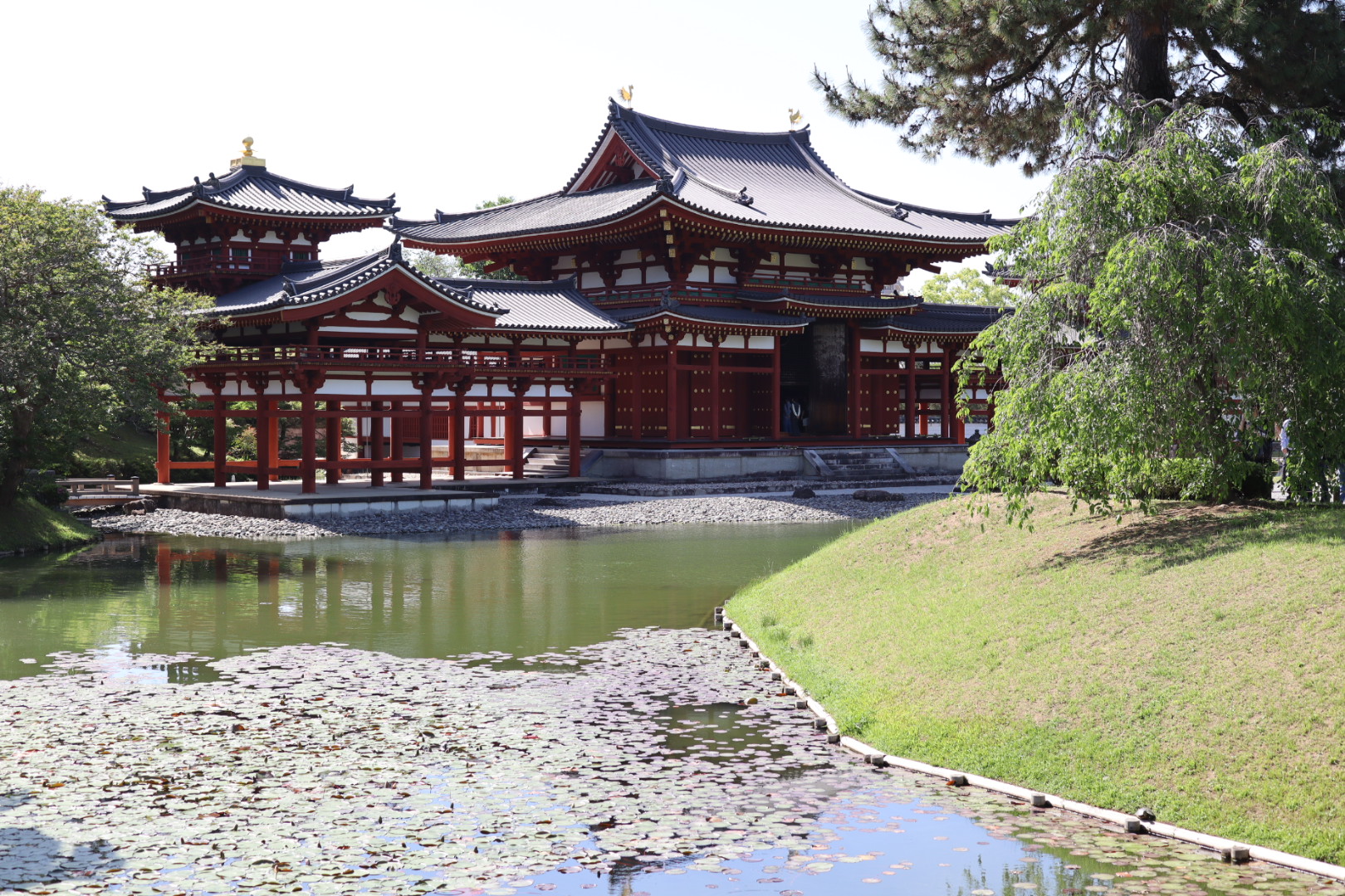 Byodoin Phoenix Hall and Kimono Walking Attractions