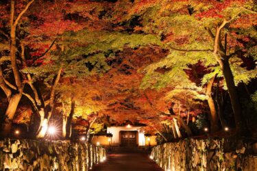 Events and Kimono Attractions in Uji, Kyoto in October 2024